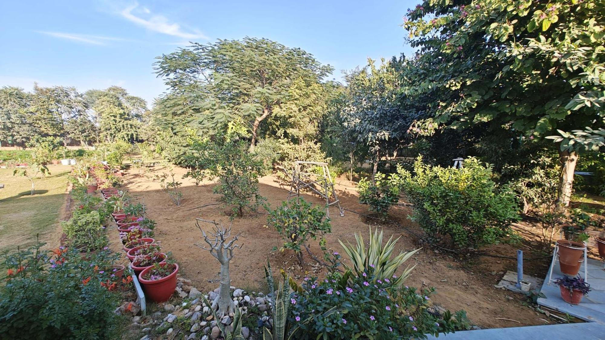 Girisadan Organic Farm Retreat & Botanical Forest Jaipur Exterior photo
